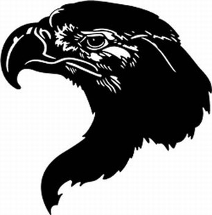 American Eagle decal 8